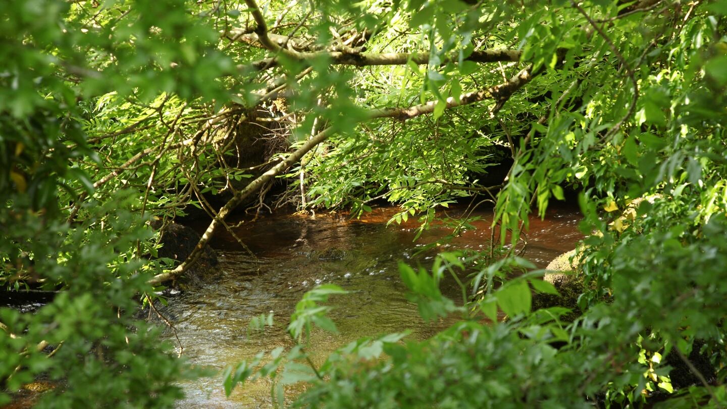 The winner will be getting an idyllic holiday escape tucked away between mountains and the river,