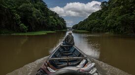 Six months after the murder of Dom Phillips and Bruno Pereira, the Amazon remains unsafe