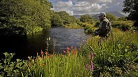 Application for large salmon farm beside wild salmon rivers in Connemara ‘flawed’
