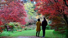 Plants are worthy of same compassion we show animals