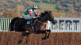 Connections ponder plans for Chatham Street Lad after Cheltenham rout