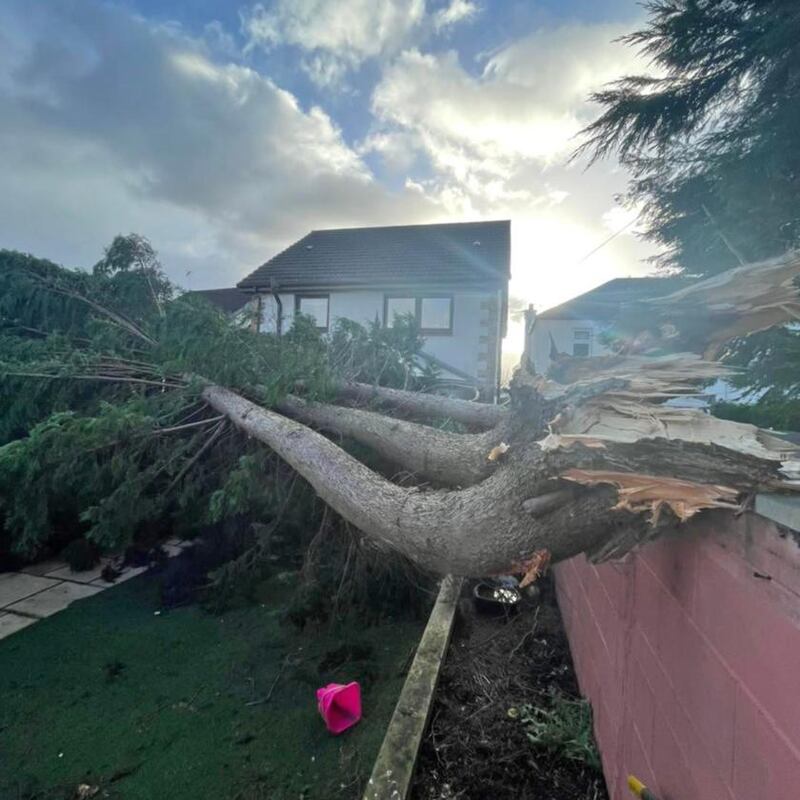 A fallen tree in Clydebank, Scotland as Storm Malik sweeps across the UK. Photograph: Gregor Fulton/Handout/PA Wire