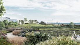 Booterstown marsh ‘biodiversity’ centre proposals ‘excessive’