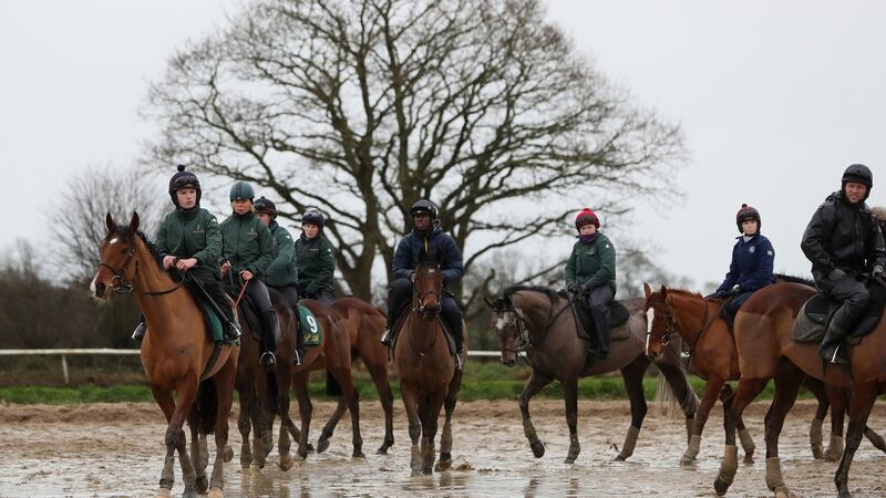 Horses go through their paces during the visit to Willie Mullins’ stables in Closutton. Photograph: Brian Lawless/PA Wire