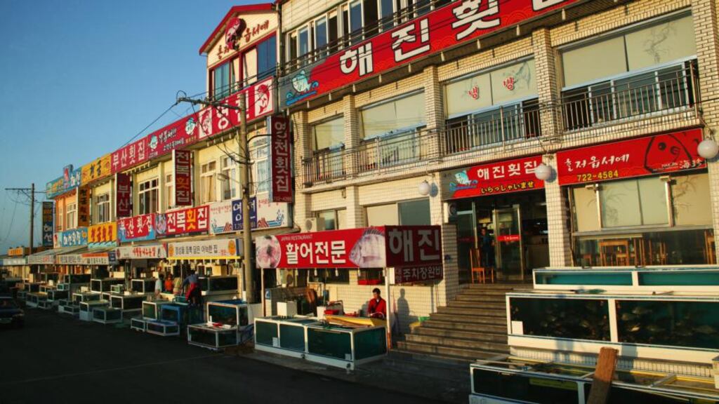 Fish tanks outside seafood restaurants in Jeju City. “The king crab are unlikely celebrities.” Photograph: Getty Images