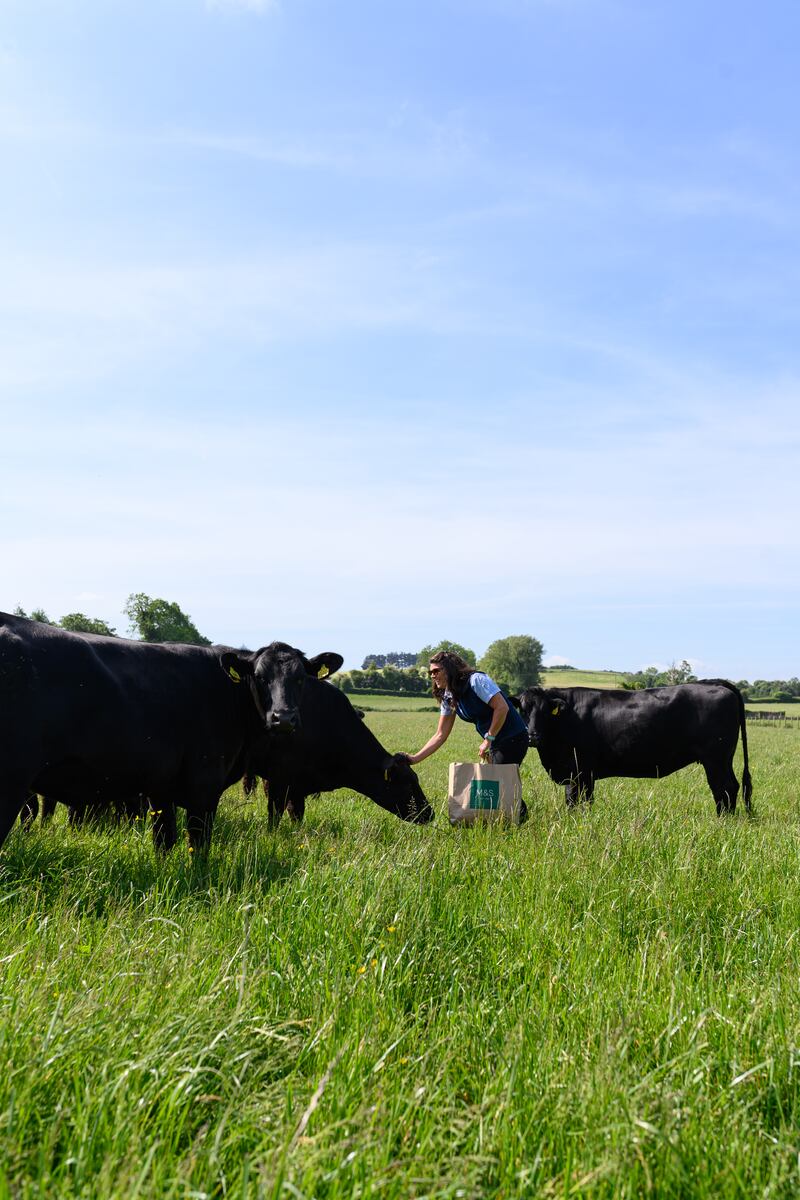 Emma Moran on her lush beef farm in Co Dublin