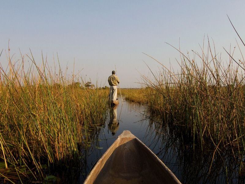 Cruise along the Okavango Delta on a traditional Mokoro safari