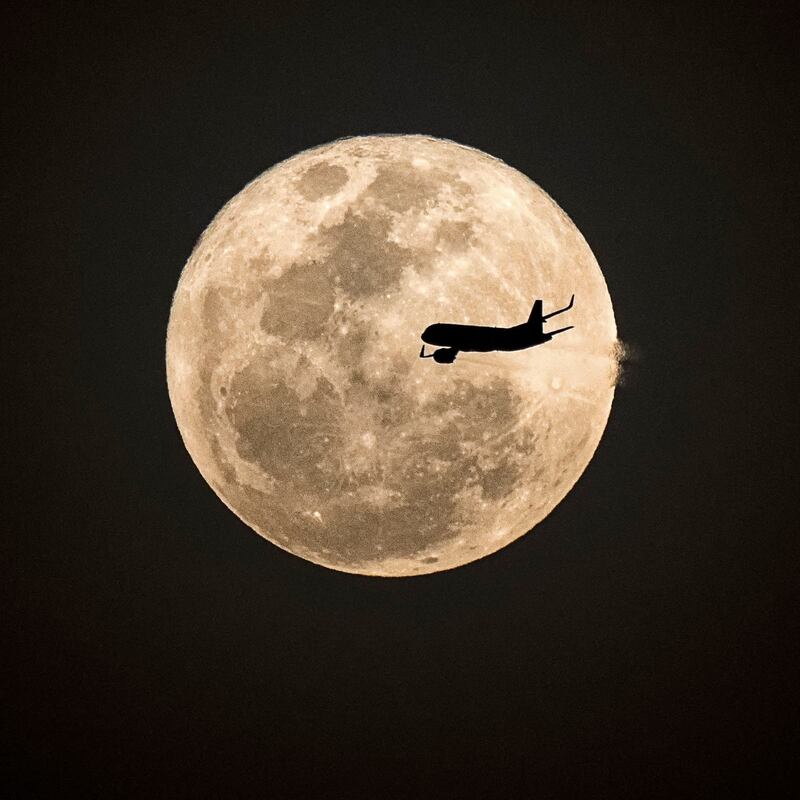 A plane is silhouetted by a supermoon. Photograph: Getty