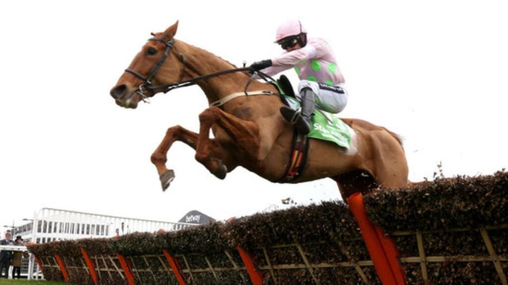 Annie Power, brilliant winner of the 2016 Champion Hurdle at Cheltenham, has been retired. Photograph: Dan Sheridan/Inpho