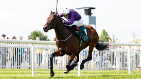 Bucanero Fuerte books Royal Ascot place with successful return to action at Naas
