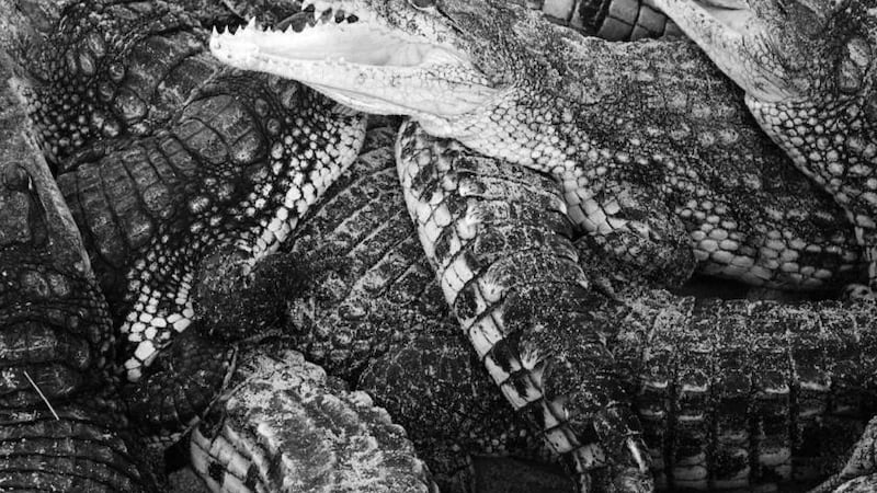 Emilie Levienaise-Farrouch - Like Water Through Sand: A beautifully tended array of sounds