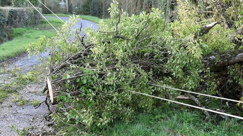 ESB Networks says around 15,000 customers remain without power after Ophelia. Image: ESB via Twitter