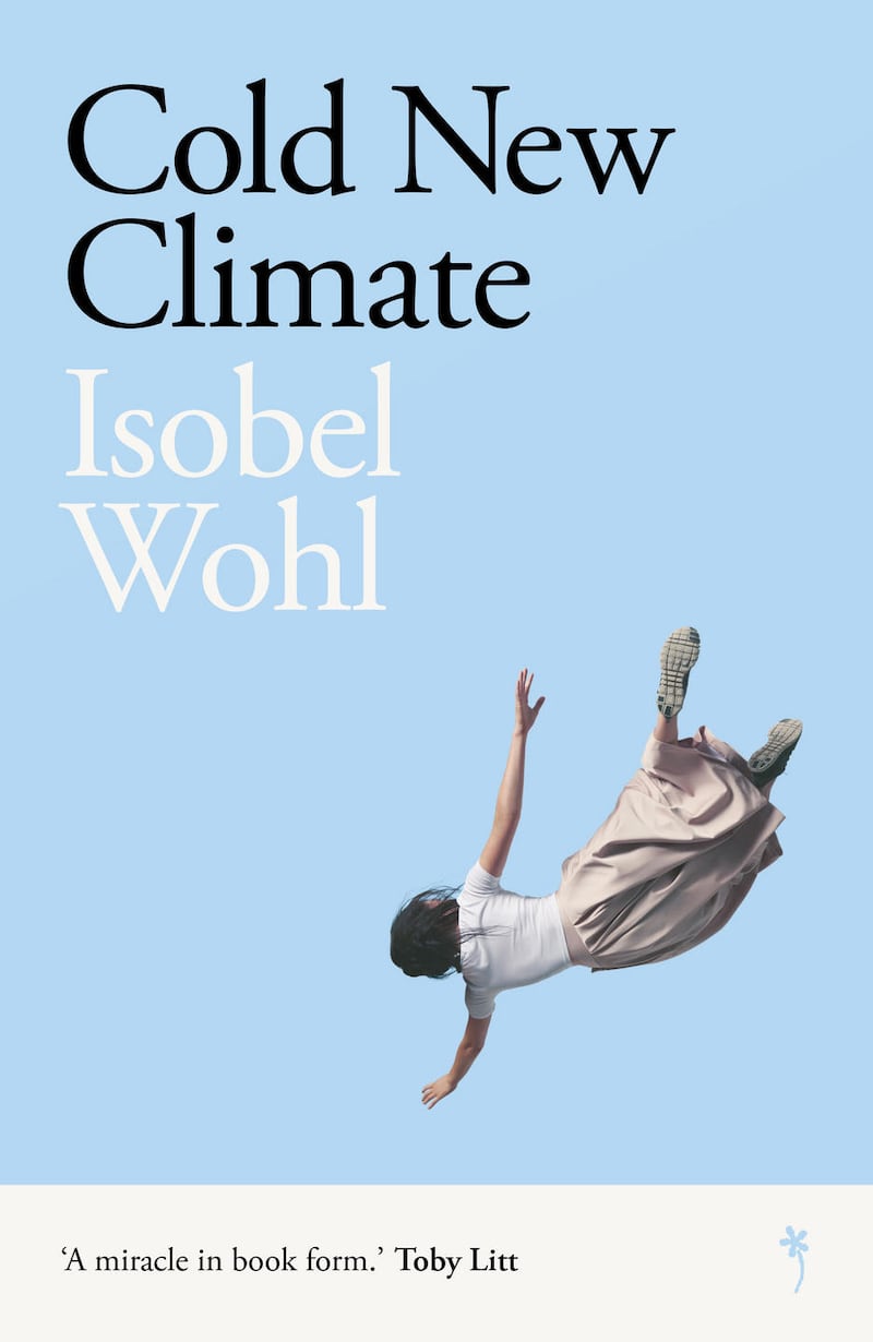 Cold New Climate by Isobel Wohl is published by Weatherglass Books