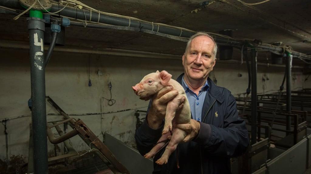 Billy Costello of Green Generation, Nurney, Co Kildare. “A RHI “will make it possible for farmers to become ‘energy farmers’, to put crops into a biogas plant”. Photograph: Brenda Fitzsimons