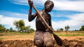 Disgraceful failure to respond to east Africa hunger crisis