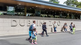 Seanad hears outdoor amenities like Dublin Zoo should reopen