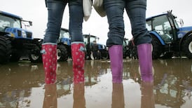 Farms managed by women are more profitable, conference hears