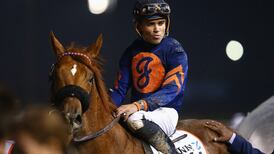 Elliott turns to Joel Rosario for Beckford’s Breeders’ Cup attempt