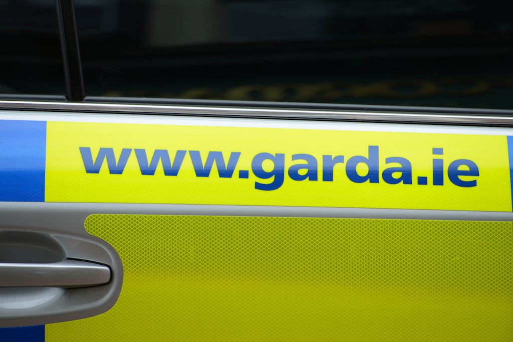 The Garda operation was carried out by the Special Detective Unit (SDU), which investigates terrorism and other threats to the State.