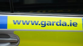 Two men detained in operation against far-right terror group due in court in Co Offaly