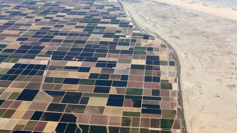 Agricultural farm land next to the desert in the central valley near El Centro, California. Photograph: Reuters/Mike Blake