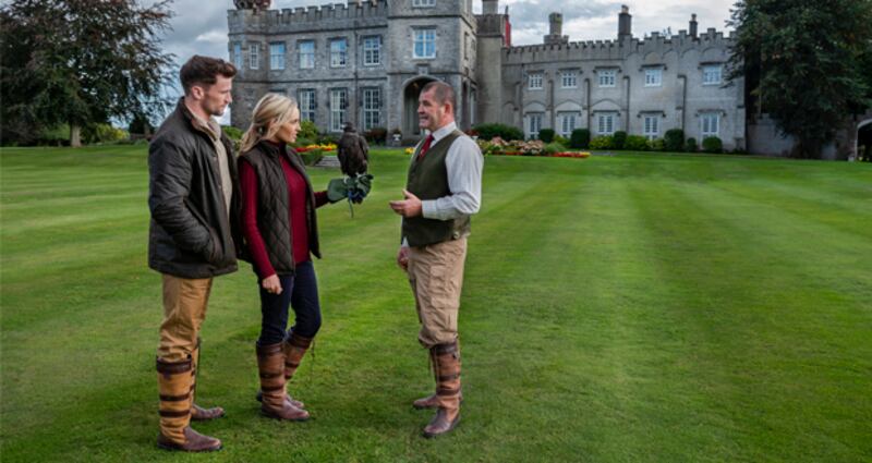 Falconry at Luttrellstown Castle Resort