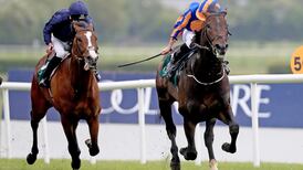 Naas hat-trick shows O’Brien’s stable in good nick for Ascot