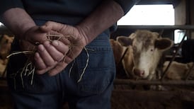 EU to drop beef deal with South America