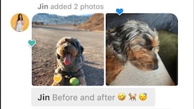 Escape Facebook’s superficial friends in the Cocoon