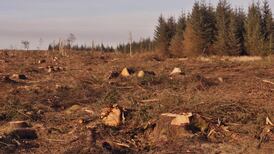 How applied maths can help money grow on trees