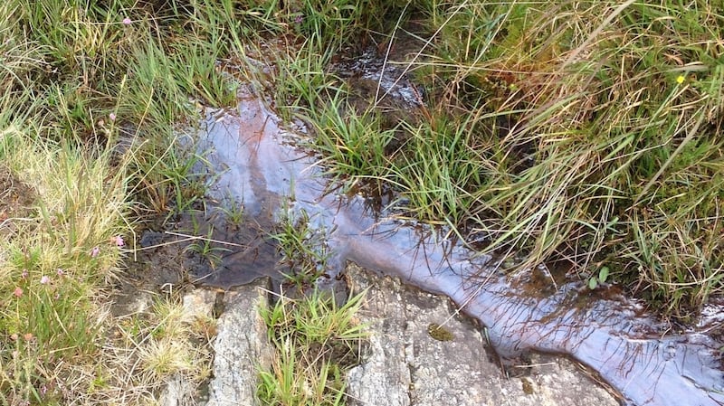 This oily film is the result of the breakdown of organic matter.