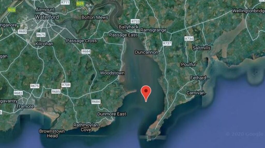 Some of the dead mammals were found in a Natura-protected area close to the mouth of Waterford estuary. File photograph: Google Street View