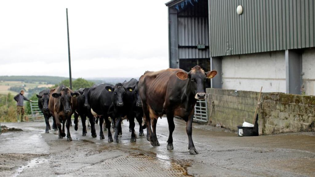 Donegal Investment Group operates across agri-inputs, produce, property and other investments.