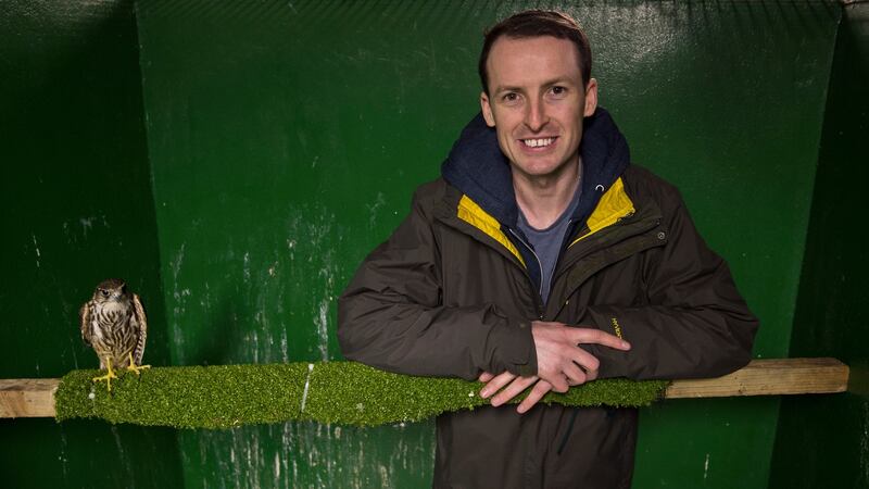 Dan Donoher with a rescued merlin at Kildare Animal Foundation. Photograph: Brenda Fitzsimons