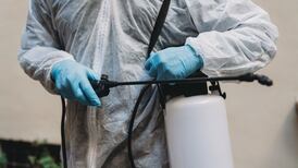 ‘Rising tide of chemical exposure’: Pesticide contamination up 8.8% in EU – study