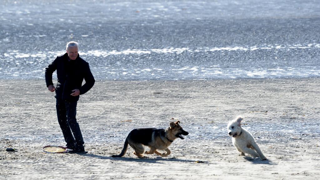 People who walk their dog at least three times a week show higher levels of social activity and closer social relationships than those who walk their dogs less frequently, a new study has revealed. File Photograph: Cyril Byrne