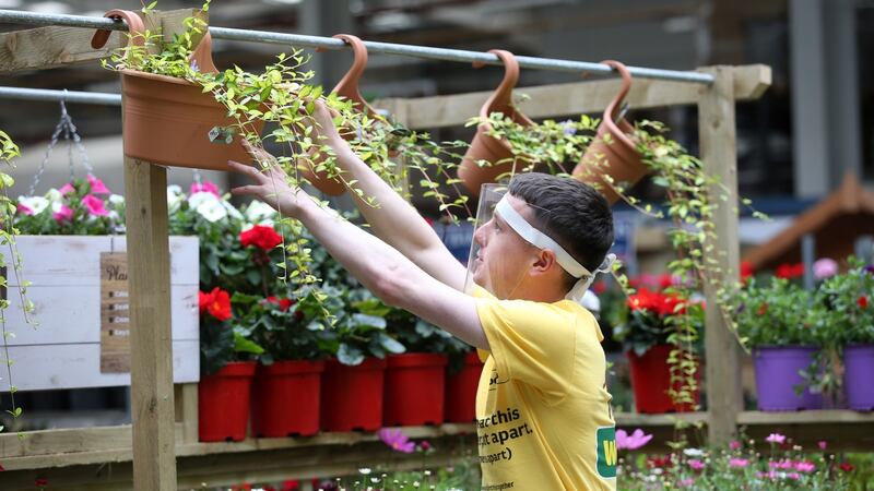 Woodies in Carrickmines. Photograph: Laura Hutton