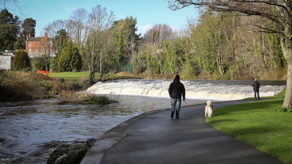 The weir on the River Dodder at Temple Park, Milltown, Dublin. Photograph: Crispin Rodwell / The Irish Times
