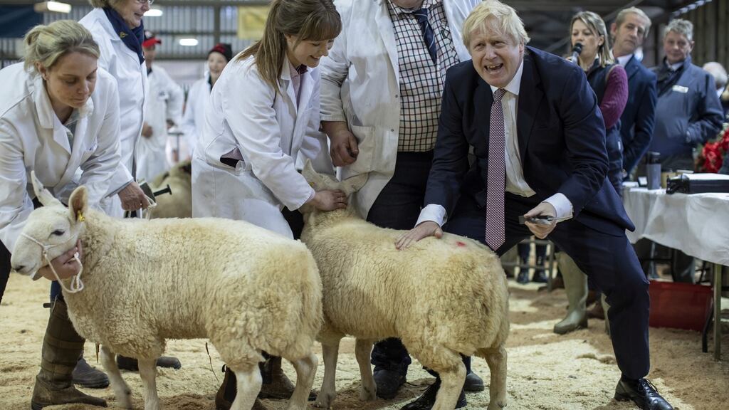 British prime minister Boris Johnson trims a sheep as he visits the Royal Welsh Winter Fair in Llanelwedd, Britain. Photograph: Dan Kitwood/Pool via Reuters