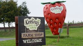 Keelings ask fruit pickers to segregate in ‘family units’