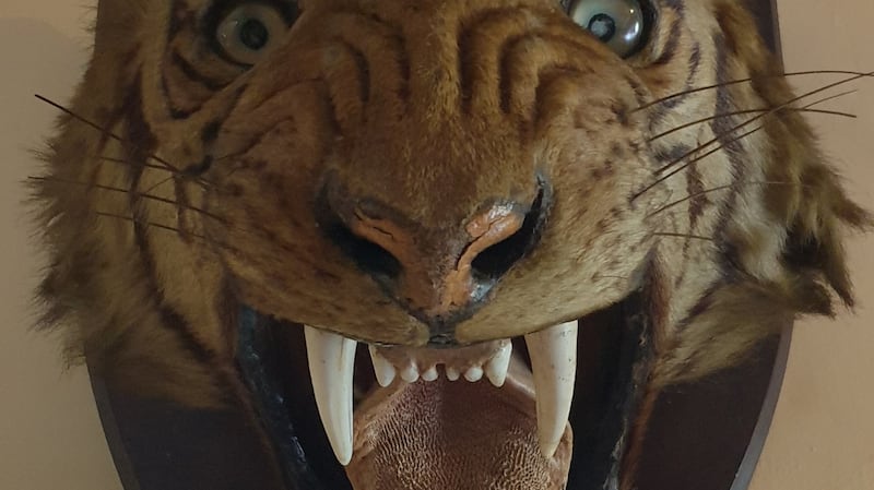 One of the roaring tigers from Prumplestown House (€400-€600)