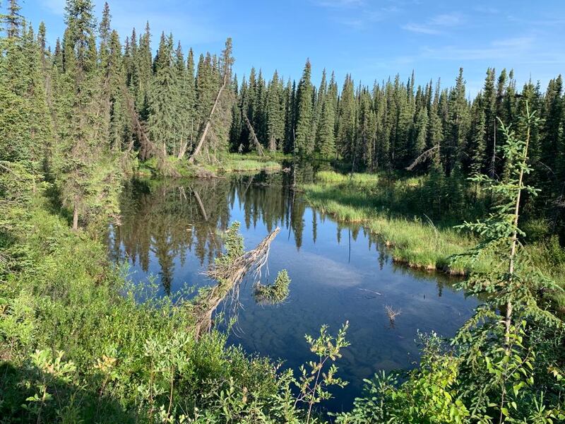 A view along the Dalton