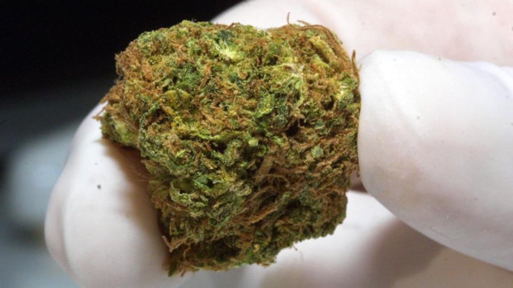 Gardaí said cannabis herb, cannabis plants, cocaine and heroin with an estimated street value in excess of €1 million were seized in the intelligence-led operation. File photograph: Michel Porro/Getty Images