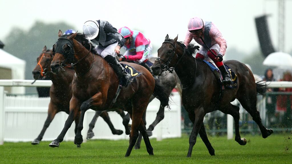 Ryan Moore will be able to take up ride on Circus Maximus after decision to relax quarantine restrictions for jockeys. Photograph: Charlie Crowhurst/Getty Images