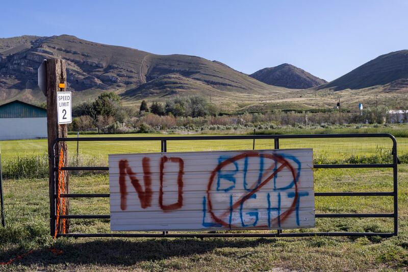 Anti-Bud Light beer graffiti scrawled on a gate in Arco, Idaho. Bud Light parent company AB InBev ran afoul of core drinkers after an effort to broaden appeal through a promotion that included transgender influencer Dylan Mulvaney. Photograph: Natalie Behring/Getty Images