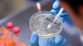 Covid-19: Cabinet sub-committee agrees to introduce fines system for rule breakers