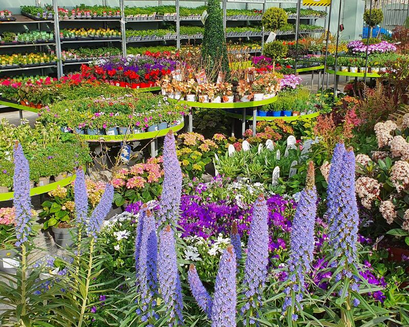 Listowel garden centre