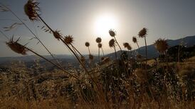 Ireland saw temperatures ‘close to normal’ amid Europe’s hottest year on record