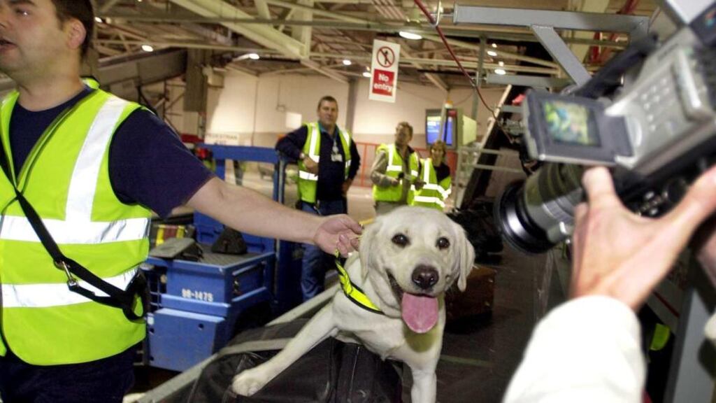 Sniffer dogs are used to check large quantities of mail. Photograph: Eric Luke