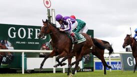 Coolmore announces death of St Nicholas Abbey